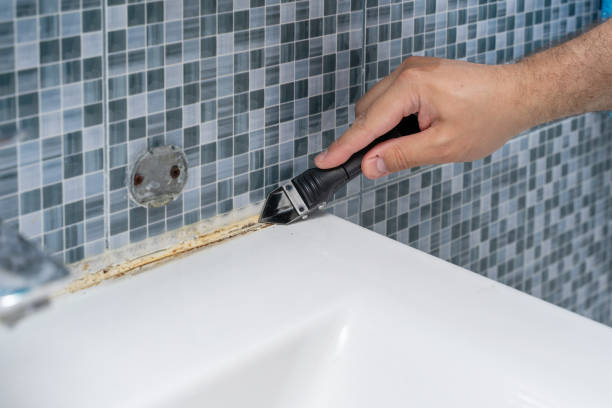 Best Mold Remediation  in Brainerd, MN