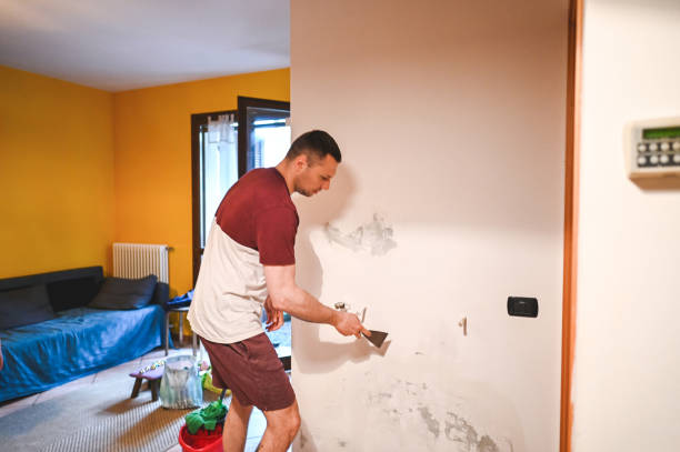 Brainerd, MN Mold Removal Company